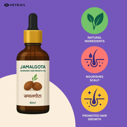 Jamalgota Ayurvedic Hair Growth Oil – 30ml Pack Of 2 | Hair Regrowth & Scalp Nourishment | 100% Natural - NETRAVA