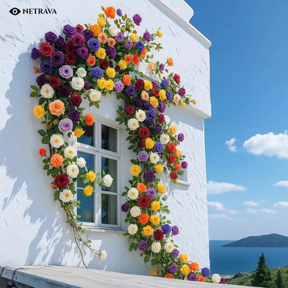 RoyalBloom Climbing Rose Flower Seeds (9 Rare Colors) - NETRAVA